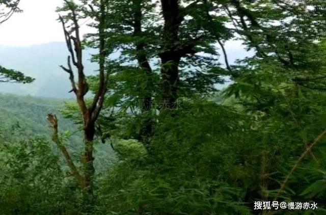 女生和男生合租，有什么注意事项？游戏画面