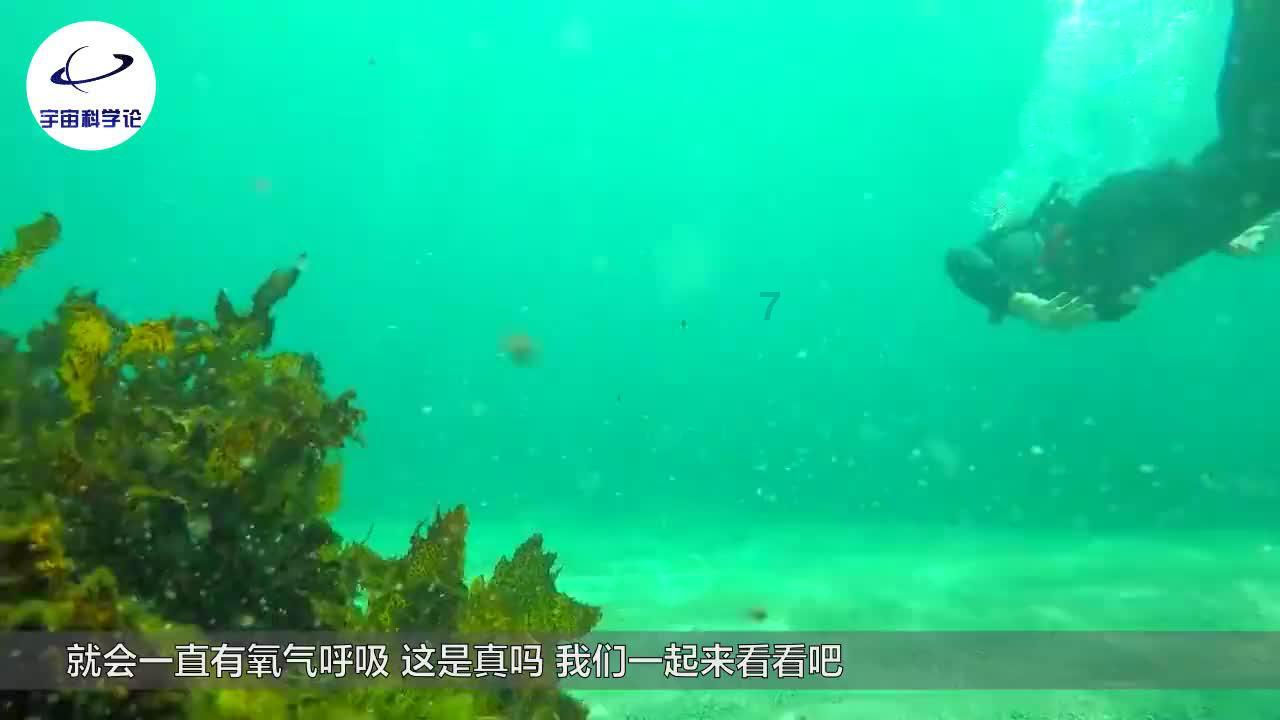 我怎么可能输给他