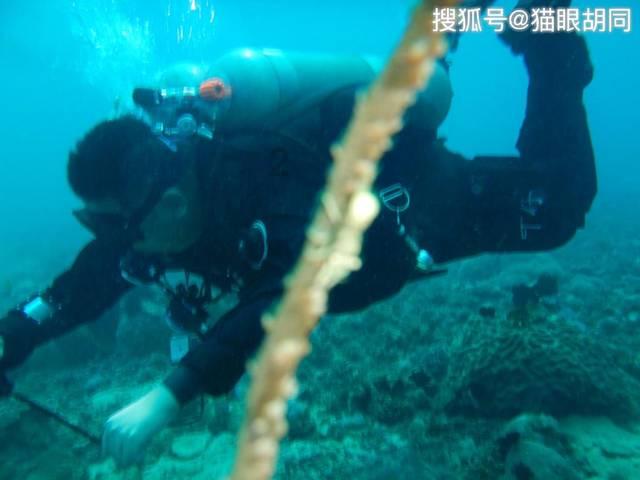 红薯和蜂蜜能一起吃吗游戏画面