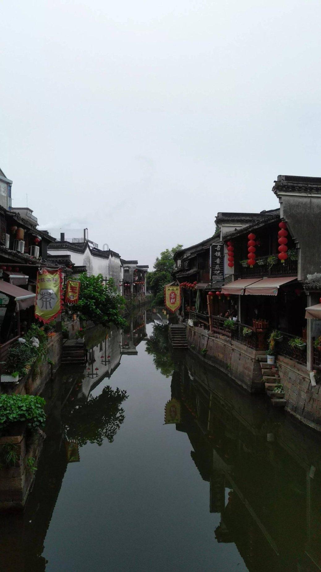 逃离白鸽之森
